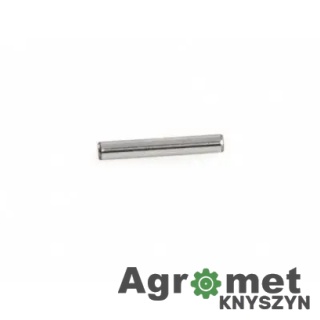 Igiełka łożyska 3x19,8 wałka głównego C-330 54370101 IŁ3X19,8