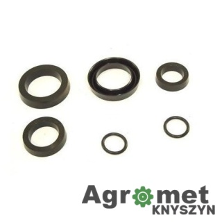 K118 KOMPLET USZCZELNIEŃ K-118