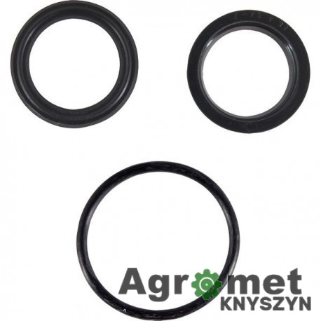Komplet uszczelniaczy cylindra CN2B3-25/H – F-160