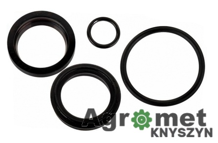 Zestaw uszczelnień siłownika przekładni nagarniacza CJ8G-40/25/250zB – F-175 Bizon