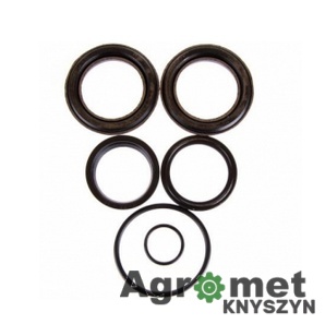 Zestaw uszczelnień siłownika pomocniczego F-181/a Ursus C-385 CJ2D-P1-50/32/305W 86409900/1