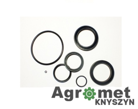 Komplet uszczelnień F-303 siłownika ramienia łyżki, obrotu lub podnoszenia pługa BX-025