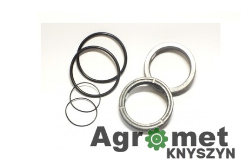 F-42 – Komplet uszczelnień siłownika obrotu Koparko-Ładowarki Ostrówek 162-0331-00