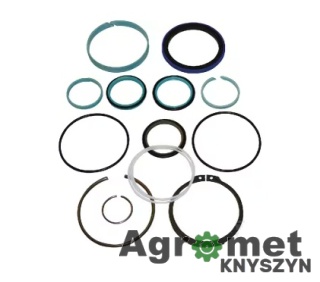 KOMPLET USZCZELNIEŃ G001990010710 FENDT SIŁOWNIK SERIA 500 40/80 NWS01780