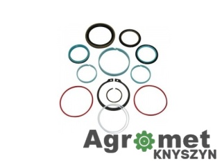 KOMPLET USZCZELNIEŃ G001990011010 FENDT SIŁOWNIK SERIA 300 500 40/70 NWS01764