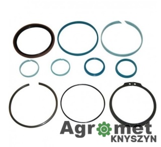 KOMPLET USZCZELNIEŃ G001990011310 FENDT SIŁOWNIK SERIA 700 900 40/100 NWS01769