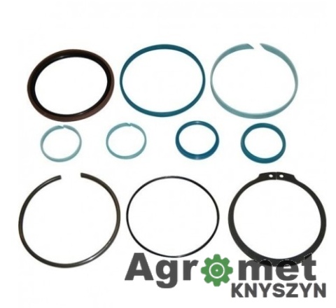 Zestaw uszczelek Fendt G001990011310 / NWS01769 / 71806054 – komplet uszczelnień siłownika Ø100 mm podnośnika