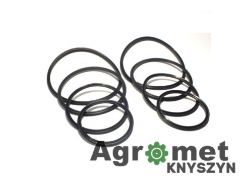 Komplet uszczelnień siłownika hydraulicznego wywrotu Liaz