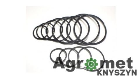 Komplet uszczelnień siłownika hydraulicznego wywrotu Tatra 815