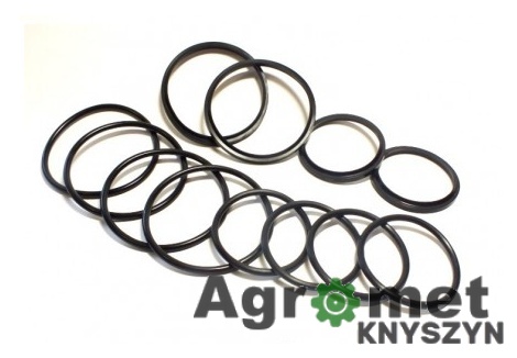 Komplet uszczelnień siłownika wywrotu D-732 Sanok