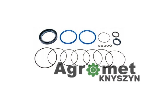 Komplet uszczelnień serwomechanizmu C-385 (nowy typ)