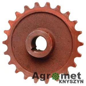 Koło Łańcuchowe, Łańcuch 1", O 35, Z-22