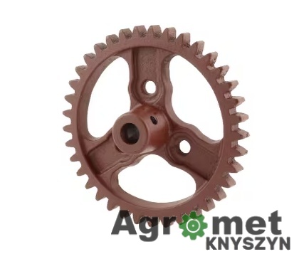 Koło duże wewnętrzne Z-37 – Poznaniak