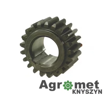 Koło zębate 21 zębów B.P. – Pompa próżniowa MEC 5000 M / 6000 M / 8000 M/D