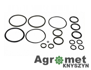 Komplet uszczelek siłownika T-25 T25 MTZ ROSJA 689D2212027 D22-12027